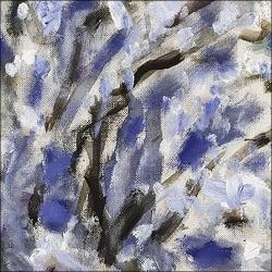 Musée Bonnard Le Cannet