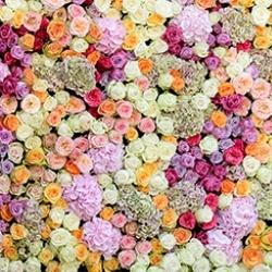 Somptueuse édition 2017 de la Symphonie des Fleurs