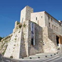 Le Figuier de Saint-Esprit à Antibes