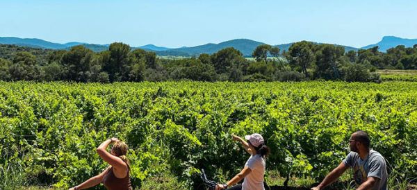 Fascinant Week-End en Provence