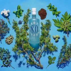 Les alcools provençaux