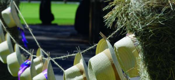 S’offrir un pic-nic chic au Golf Old Course
