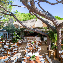 Nikki Beach