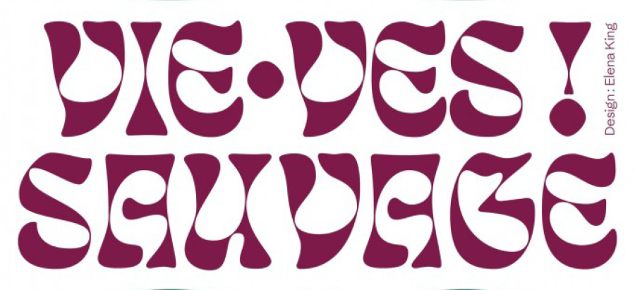 Vie-ves ! Sauvage à la Station à Nice