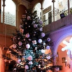 Bal des Neiges