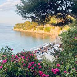 Paloma Beach