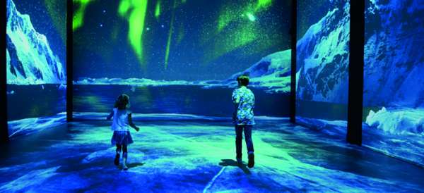 Jeu et biodiversité au Musée Océanographique de Monaco