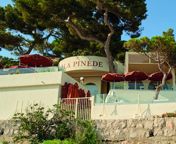 Diner au milieu des pins