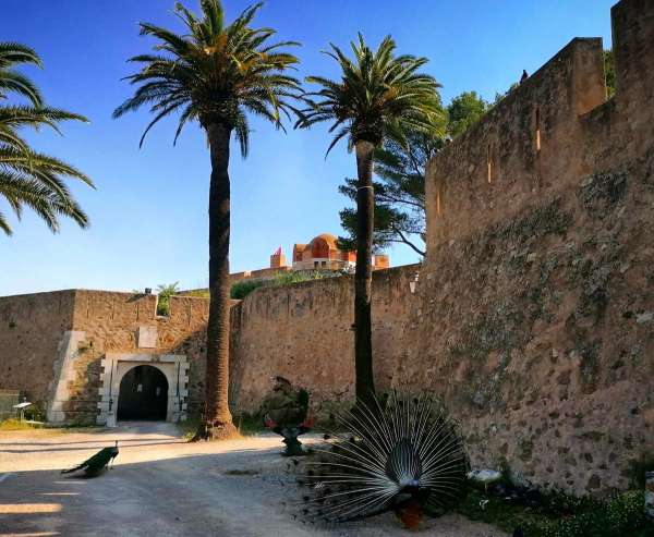 Baladez-vous au parc de la Citadelle de Saint-Tropez