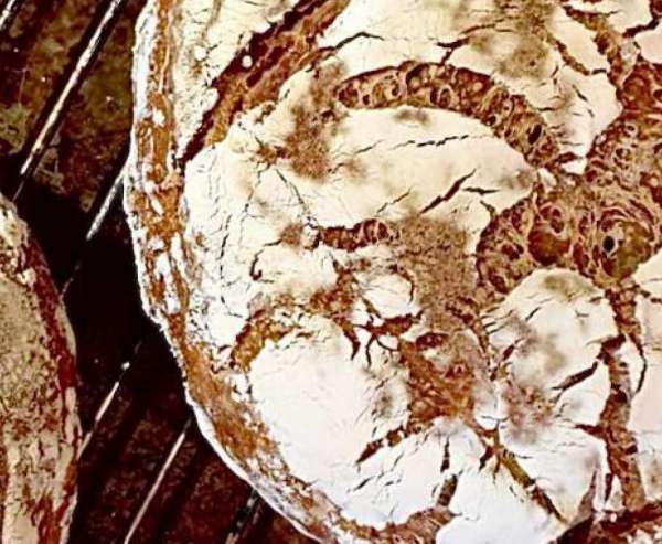 Réalisez la recette du pain de campagne du chef Nicolas Rondelli du restaurant Les Pêcheurs au Cap d’Antibes