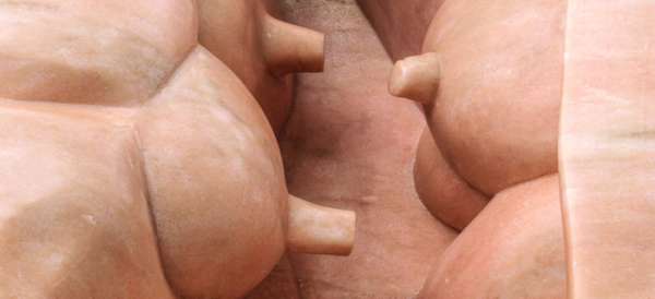 Reconsidérer le corps et l’anatomie à la Galerie Hauser &amp; Wirth Monaco
