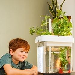 Nice se lance  dans l’aquaponie