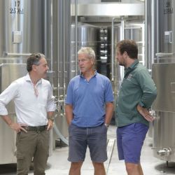 Au cœur des vignes